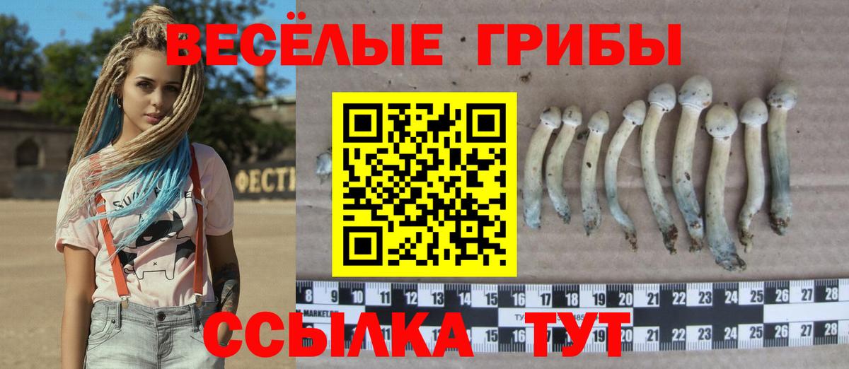 Cocaine  ГАШ  MDMA  Вход с VPN  Меф МЯУ МЯУ кристаллы  Марихуана  Абакан  Бошки Шишки  Лсд 25 