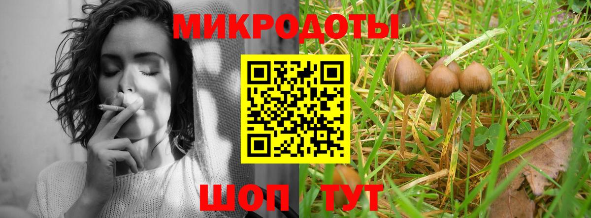 Галлюциногенные грибы Cubensis Абакан